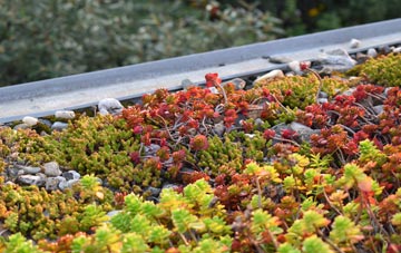 the cost of Longton green roof installation