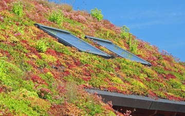 Longton living roof systems